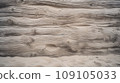 Driftwood Beach Wall Texture Backdrop 109105033
