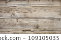 Driftwood Beach Wall Texture Backdrop 109105035