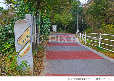 Hanamigawa cycling course (upstream) Hanamigawa cycling course (upstream) 109105089