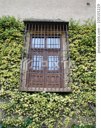 Courtyard window of the Alhambra Palace, Mesuar Palace [Granada, Spain] 109105229