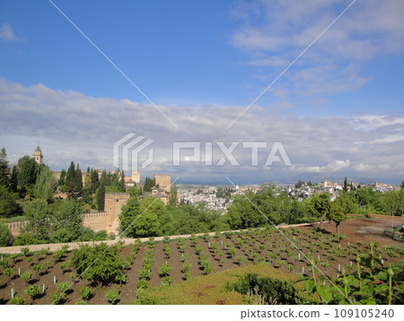 Alhambra seen from the Generalife [Granada, Spain] 109105240
