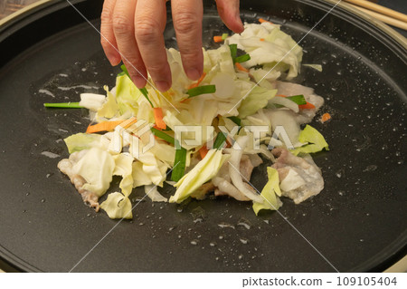 Yakisoba stir-fry vegetables 109105404