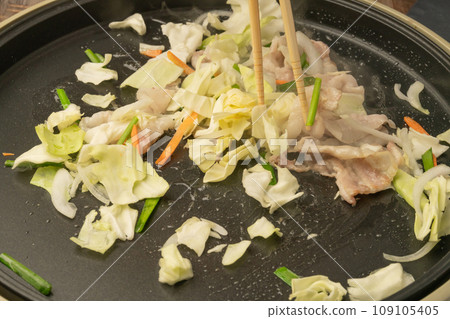 Yakisoba stir-fry vegetables 109105405