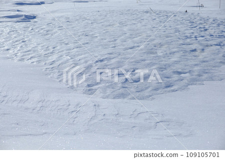 Wind and snow patterns on the Otsu coast in midwinter, Hokkaido Wind and snow patterns on the Otsu coast in midwinter, Hokkaido 109105701