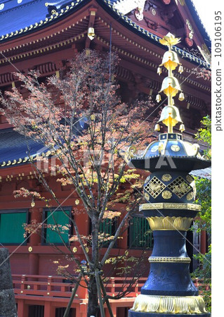 The beauty of Nikko Toshogu Shrine is a building that can be proud of around the world, and it is a statement that says, ``Don't say it's fine without seeing Nikko.'' . The beauty of Nikko Toshogu Shrine is a building that can be proud of around the world, and it is a statement that says, ``Don't say it's fine without seeing Nikko.'' . 109106195