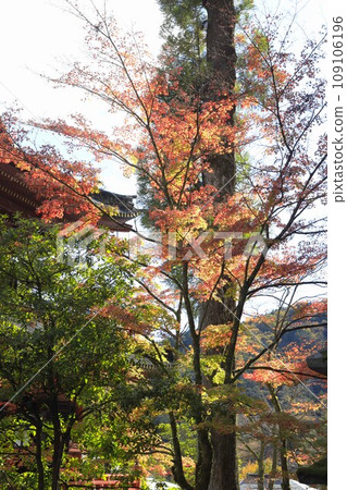 The beauty of Nikko Toshogu Shrine is a building that can be proud of around the world, and it is a statement that says, ``Don't say it's fine without seeing Nikko.'' . The beauty of Nikko Toshogu Shrine is a building that can be proud of around the world, and it is a statement that says, ``Don't say it's fine without seeing Nikko.'' . 109106196
