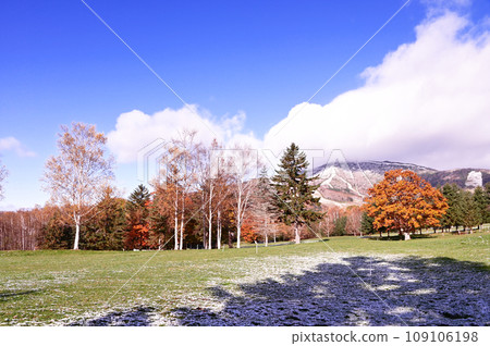 Tomamu 秋葉與初雪 Tomamu 秋葉與初雪 109106198