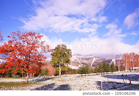 Tomamu autumn leaves and first snow Tomamu autumn leaves and first snow 109106206