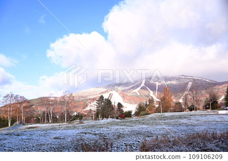 Tomamu autumn leaves and first snow 109106209