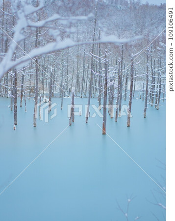 Superb view of Hokkaido Winter Biei Blue Pond Illuminated Superb view of Hokkaido Winter Biei Blue Pond Illuminated 109106491
