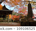 Late autumn mountain temple 109106525