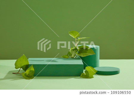 Green podiums in geometric shapes decorated with fish mint leaves. Mock-up for exhibitions or presentation of cosmetic products or packaging 109106550