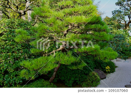 Matsue tea room Meimei-an Matsue tea room Meimei-an 109107060