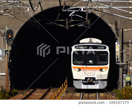 JR東海315系列列車 109107173