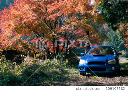 開車穿過秋葉 109107582