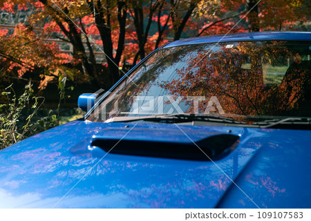 開車穿過秋葉 109107583