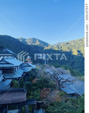 Panoramic view of Kumano Nachi Taisha Shrine and Nachi Waterfall 109107977