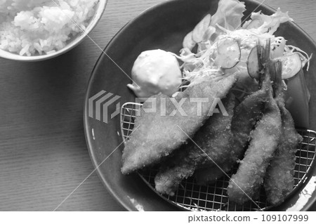 Set meal flies 109107999