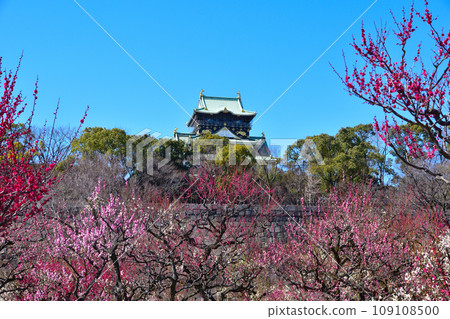 Plum Osaka Castle Park Plum Osaka Castle Park 109108500