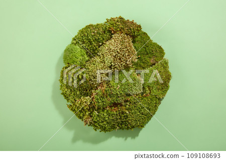 Top view of patches of green moss arranged in a circle isolated on light green background. Scene for product advertising with minimalist style, natural cosmetics 109108693