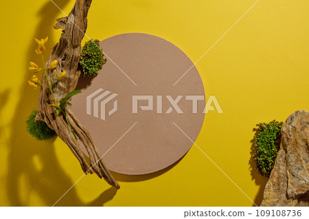 Against a yellow background, an empty brown podium decorated with dry twig, block of stone, green moss and yellow flower. Blank space for product presentation. Top view  109108736