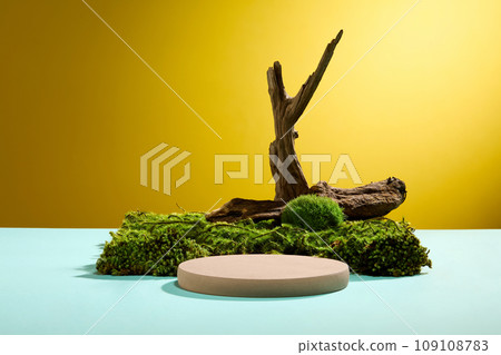 Blank minimal design concept for product presentation. Front view of a round podium with dry twigs on green moss decorated on yellow background. Advertising photo  109108783