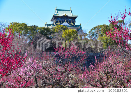 Plum Osaka Castle Park 109108801
