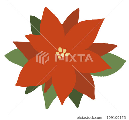 一品紅花 一品紅花 109109153