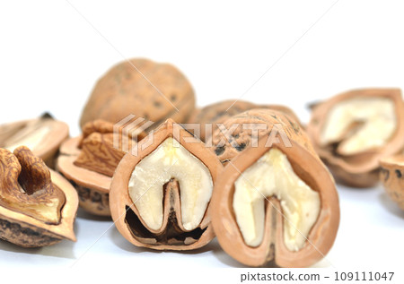 Walnuts in their shells, shelled walnuts, or cracked walnuts Walnuts in their shells, shelled walnuts, or cracked walnuts 109111047
