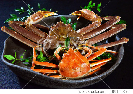 The king of winter flavors: snow crab and matsuba crab The king of winter flavors: snow crab and matsuba crab 109111051