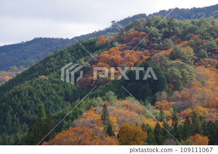 深秋山 109111067