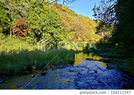 埼玉縣嵐山町的嵐山山谷，秋葉燦爛 109111547