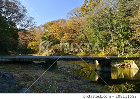 Shiozawa submerged bridge spanning the Arashiyama Valley with autumn leaves in Arashiyama Town, Saitama Prefecture Shiozawa submerged bridge spanning the Arashiyama Valley with autumn leaves in Arashiyama Town, Saitama Prefecture 109111552