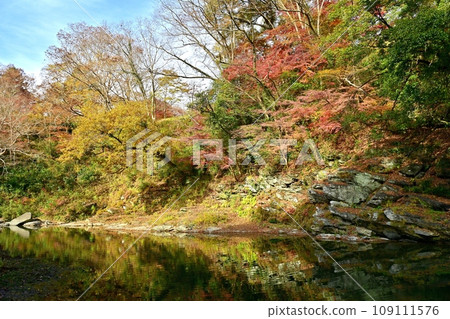 埼玉縣嵐山町的嵐山山谷，秋葉燦爛 109111576