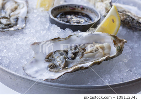 Fresh oysters on the halves of the shell are served in a plate with ice, lemons and sauce. Fresh oysters on the halves of the shell are served in a plate with ice, lemons and sauce. 109112343