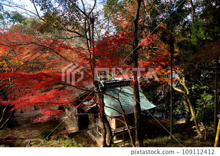 紅葉包裹的神社 - 灶門神社境內的風景 紅葉包裹的神社 - 灶門神社境內的風景 109112412