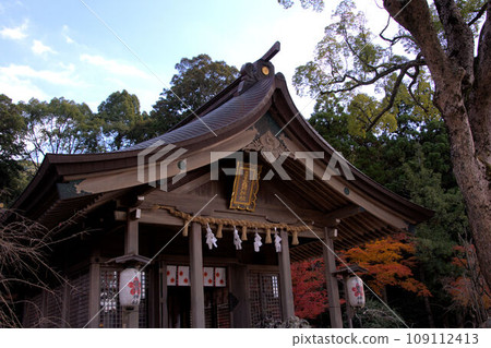 紅葉包裹的神社 - 灶門神社境內的風景 紅葉包裹的神社 - 灶門神社境內的風景 109112413