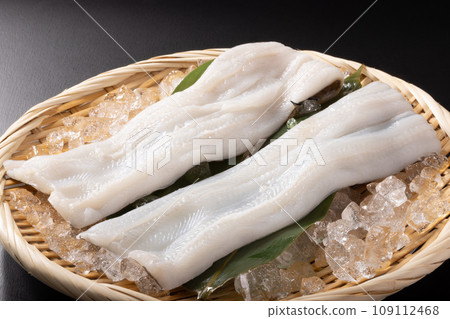 海鰻（宮城縣產） 109112468