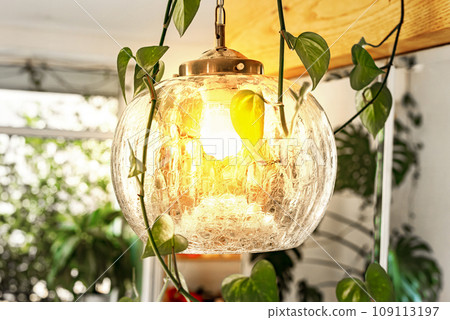 Glass lamp, ceiling light in modern cozy interior. 109113197