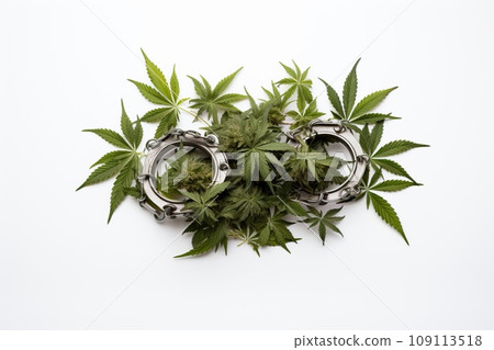 Marijuana on white background with handcuffs, police motive for prohibition of marijuana. Marijuana on white background with handcuffs, police motive for prohibition of marijuana. 109113518