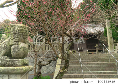 【重要傳統建築群保存地區】廣島縣吳市豐町禦手洗第2天滿宮 109113646