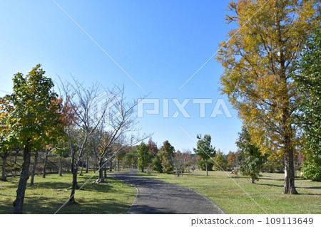 秋天的淺隈山麓公園 秋天的淺隈山麓公園 109113649