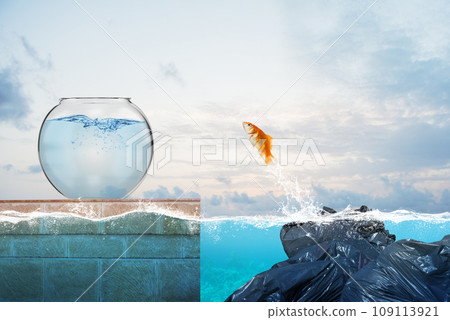 Red fish jumps from polluted water to clean water of a ampule 109113921