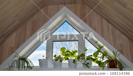 Triangular window with houseplants on the windowsill. Blue sky and trees view. Interior with wood trim Triangular window with houseplants on the windowsill. Blue sky and trees view. Interior with wood trim 109114396