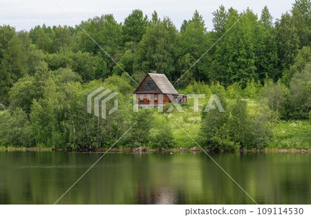 Life of the Russian North, old dilapidated houses along the coast of the Svir River 109114530