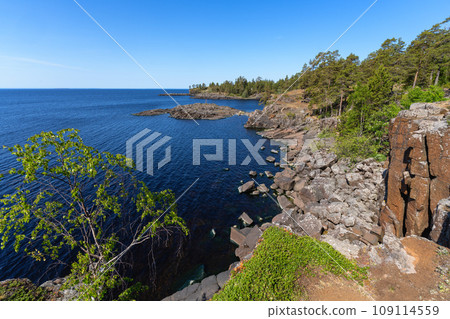Valaam Island, rocky coast and pine trees growing on it 109114559