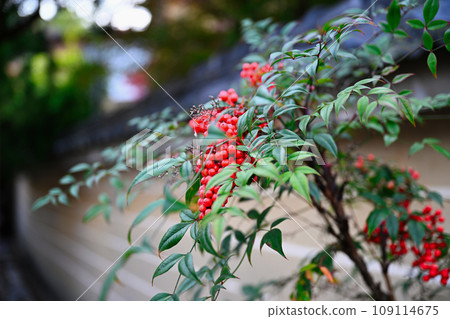 Awada Shrine Awada Shrine 109114675