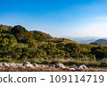 Hiraodai in the afternoon 109114719