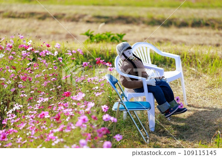 Scarecrow in the Countryside Scarecrow Scarecrow in the Countryside Scarecrow 109115145