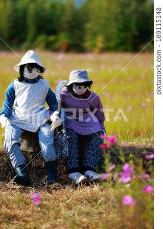 Scarecrow in the Countryside Scarecrow Scarecrow in the Countryside Scarecrow 109115148